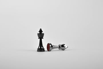 Kings - Sebastian Voortman - Pexels