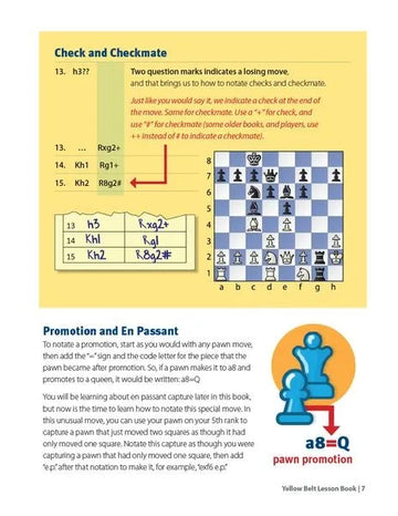 Coach Jay's Chess Academy - #2 Yellow Belt Lessons
