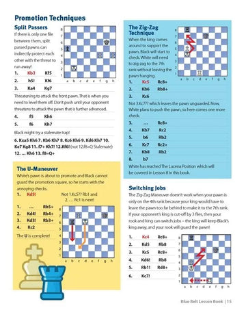 Coach Jay's Chess Academy - #6 Blue Belt Lessons