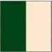 ChessKid.com Branded Regulation Vinyl Chess Board -  2.25" Squares - New Design