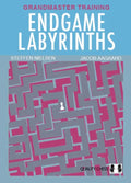 Endgame Labyrinths