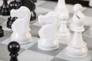 DGT Centaur Chess Computer