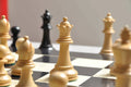 The Wild Knight Series Chess Pieces - 3.75