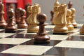 The Wild Knight Series Chess Pieces - 3.75