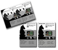 Complete Roman's Greatest Games of Chess Ever Played :  Volumes 10 & 11  (2 DVDs)