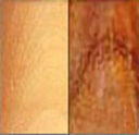 Golden Rosewood and Natural Boxwood