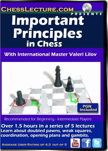 Important Principles in Chess - Chess Lecture - Volume 156