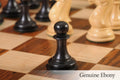 The Camaratta Collection - The 1849 Collector Series Luxury Chess Pieces - 4.4