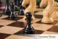 The Camaratta Collection - The Piatagorsky Cup Series Luxury Chess Pieces - 4.4