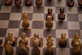The Millennium ChessGenius Exclusive Chess Computer