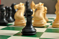 The Collector Series Plastic Chess Pieces - 4.0