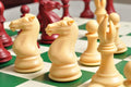The Collector Series Plastic Chess Pieces - 4.0