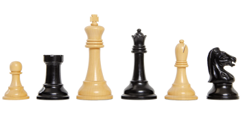 The DGT Projects Enabled Electronic Chess Pieces - Drueke Players Choice Series - 3.75" King