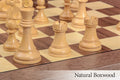 The DGT Projects Enabled Electronic Chess Pieces - Reykjavik Series - 3.75