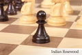 The DGT Projects Enabled Electronic Chess Pieces - Reykjavik Series - 3.75
