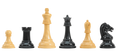 The DGT Projects Enabled Weighted Electronic Chess Pieces - Drueke Players Choice Series - 3.75" King