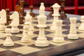 The Expert Series Chess Pieces