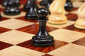 The Camaratta Collection - The 1849 Collector Series Luxury Chess Pieces - 4.4