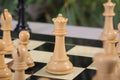 The Marshall Series Chess Pieces - 3.75