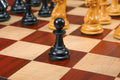 The Morphy Series Timeless Luxury Chess Pieces - 4.4