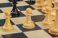 The Forever Collection - The St. Louis Chess Club Commemorative Series Chess Pieces - 4.4