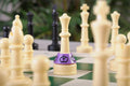 PlunderChess Game Set