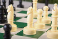 PlunderChess Game Set