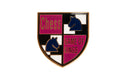 Chess - Game of Kings Pin