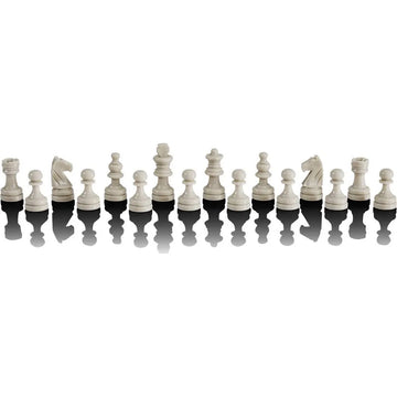 The Chess Champion Chess Computer
