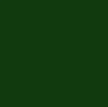Army Green Bishop