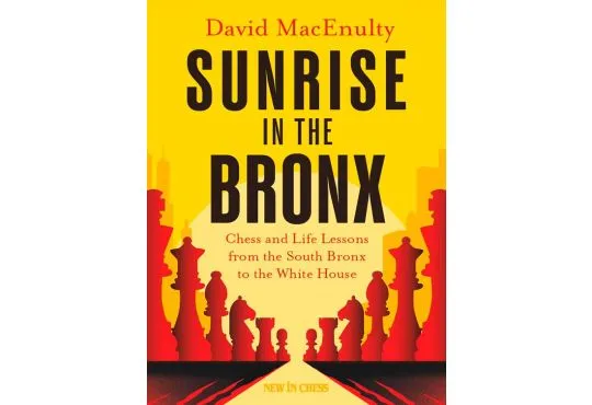 Sunrise in the Bronx 