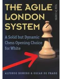 CLEARANCE - The Agile London System
