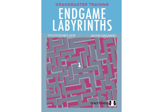 Endgame Labyrinths 