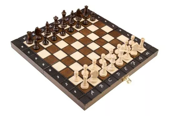 The Large Brown Magnetic Chess Set
