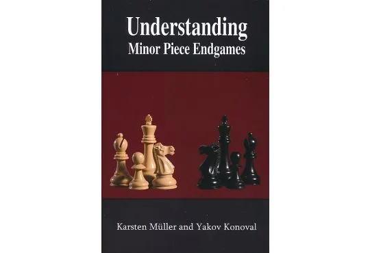 Understanding Minor Piece Endgames