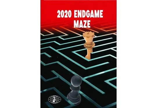 2020 Endgame Maze