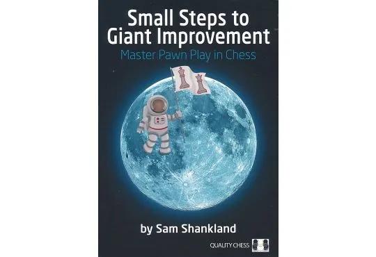 PAPERBACK - Small Steps to Giant Improvement