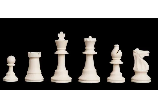 Small Exclusive Analysis Chess Set with Case