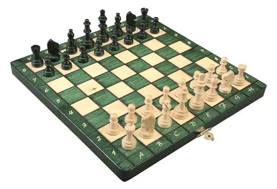 The Green Magnetic Chess Set