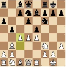 Caro-Kann Advance – Everyman Chess